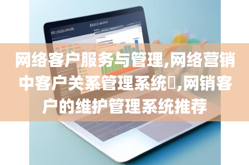 网络客户服务与管理,网络营销中客户关系管理系统​,网销客户的维护管理系统推荐